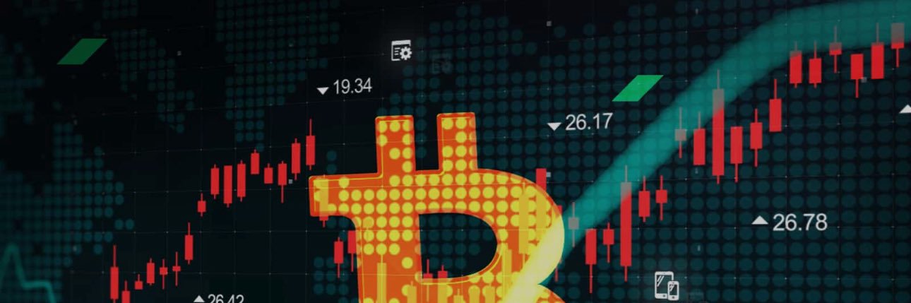 BjerkeRavi's profile banner image