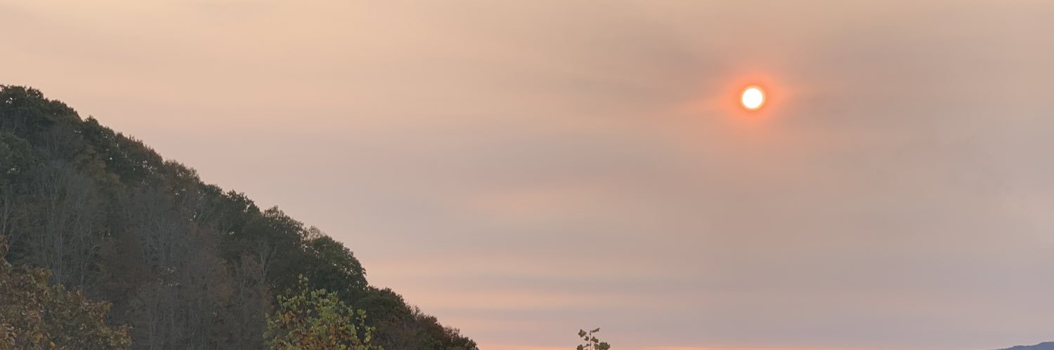 thecriticalbean's profile banner image
