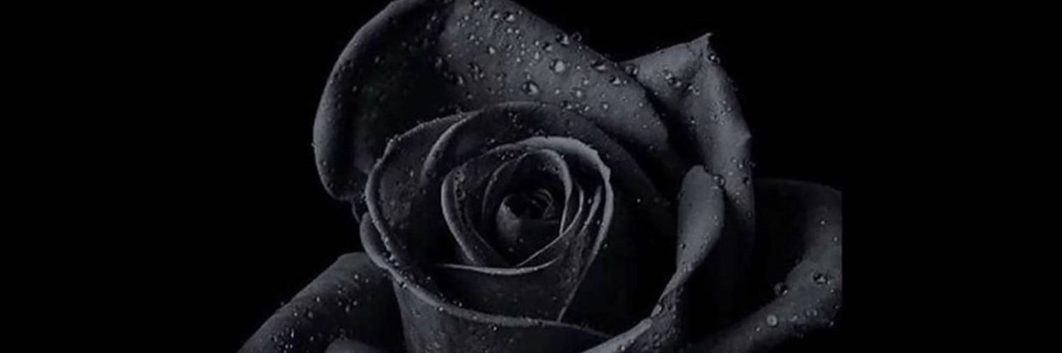 Mike_Schu_'s profile banner image
