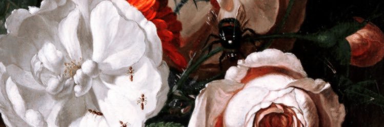 camimonroy13's profile banner image
