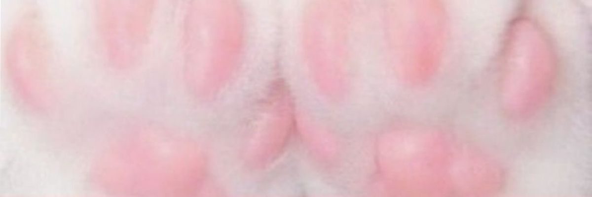 adoringleeknow's profile banner image