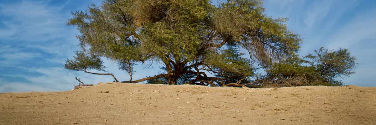 المجلس الأعلى للبيئة banner