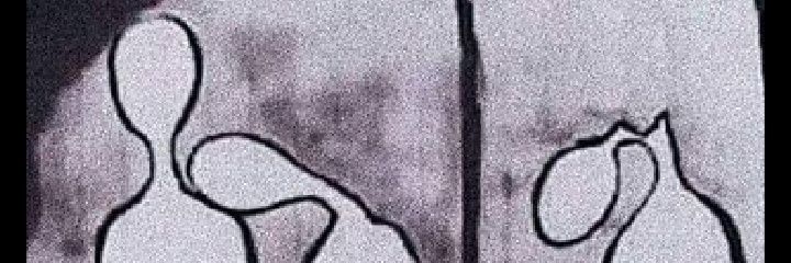 la_dalbit's profile banner image