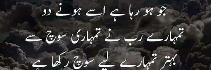 Zulfi banner