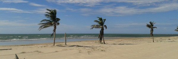 skinddI Profile Banner