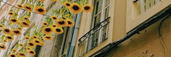 Evefernandezz_'s profile banner image