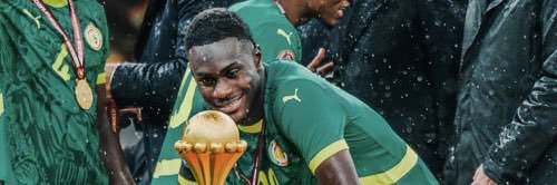 🇸🇳⭐️⭐️ banner