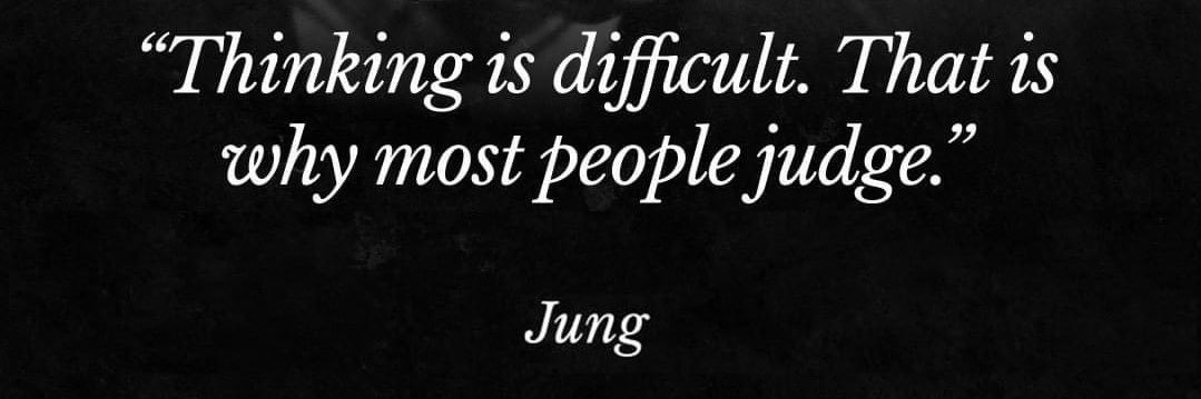 fly bine 👉WEF is the enemy👈 banner