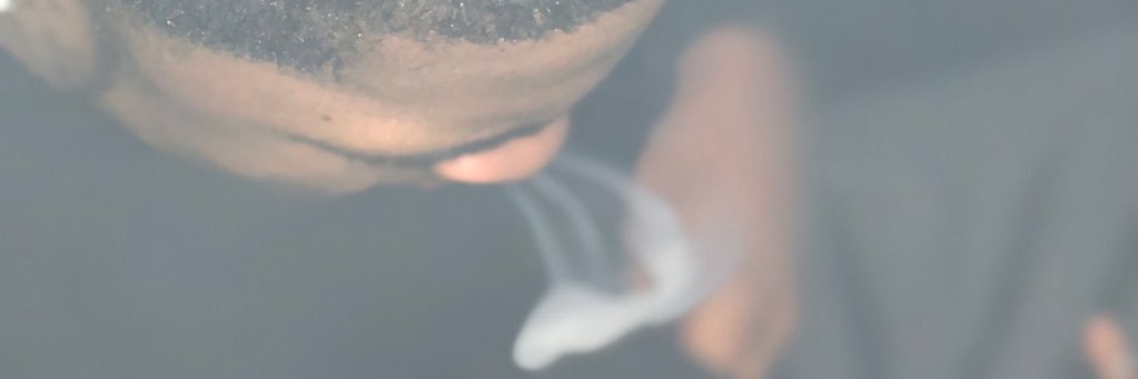 theyscreambilly's profile banner image