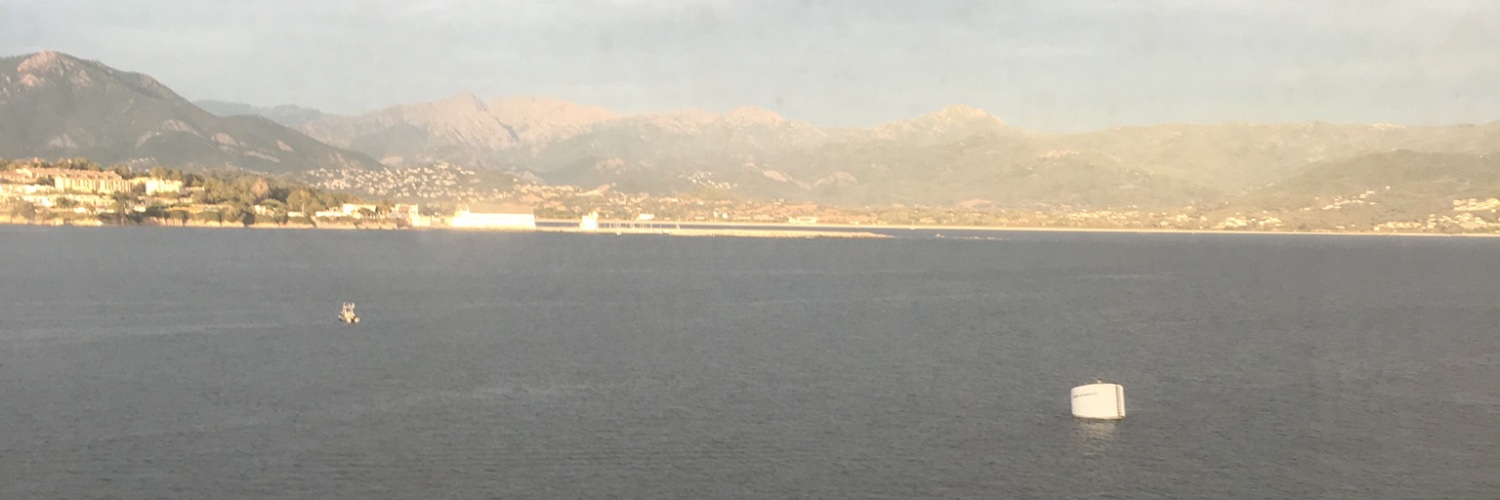 Jennifer Ruimi banner