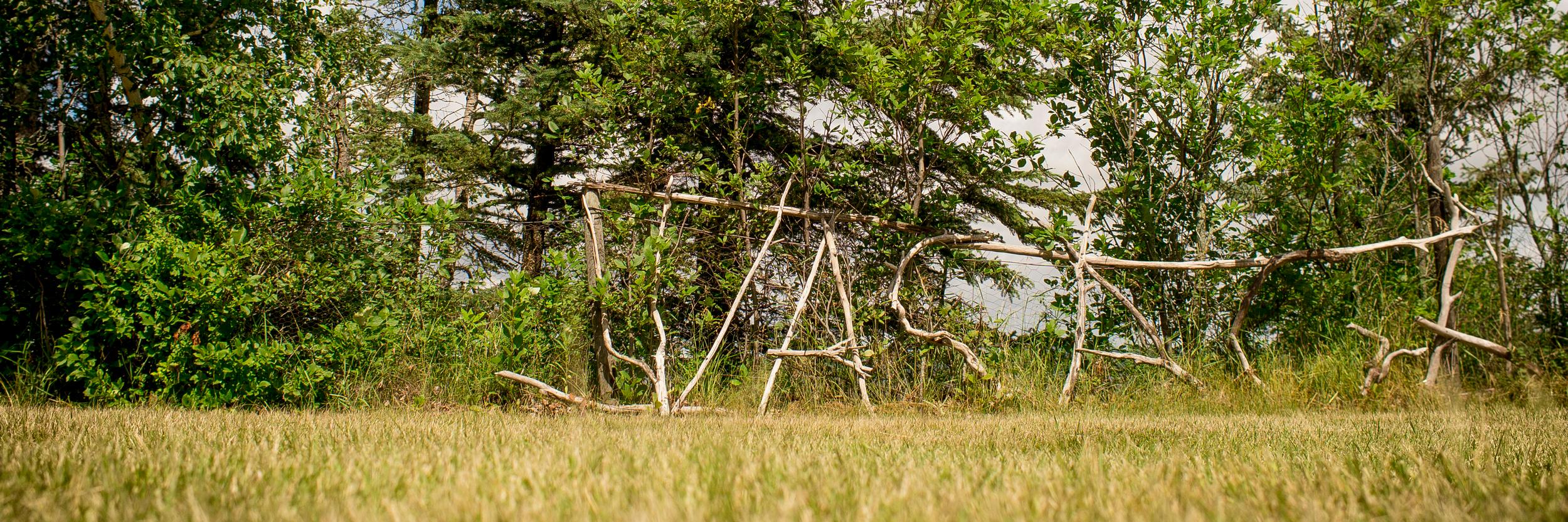 CampWasaga's profile banner image