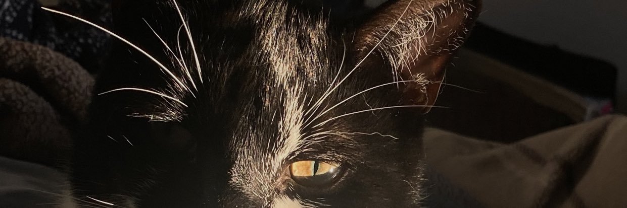 magggiex's profile banner image