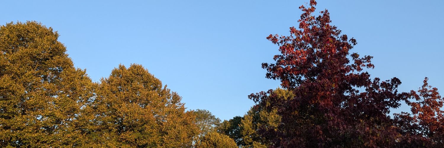 GregPycroft's profile banner image