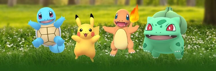 SnaggleSprout's profile banner image
