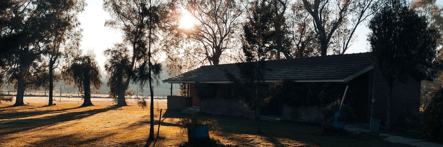 GUEDISTA DE PRIMERA OLA 🌊🔪⚽ banner