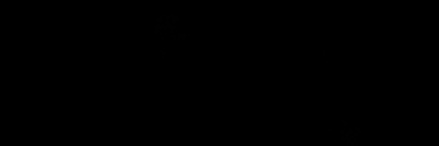 iagorsbZ's profile banner image
