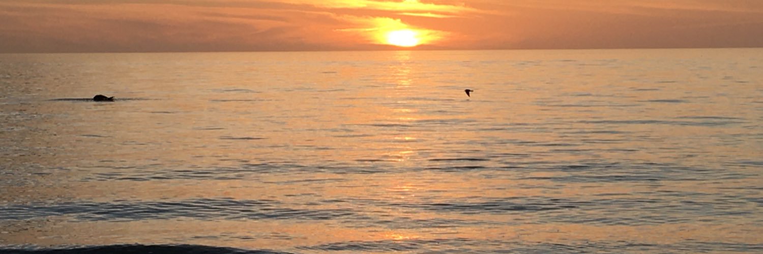 cotter_dave's profile banner image