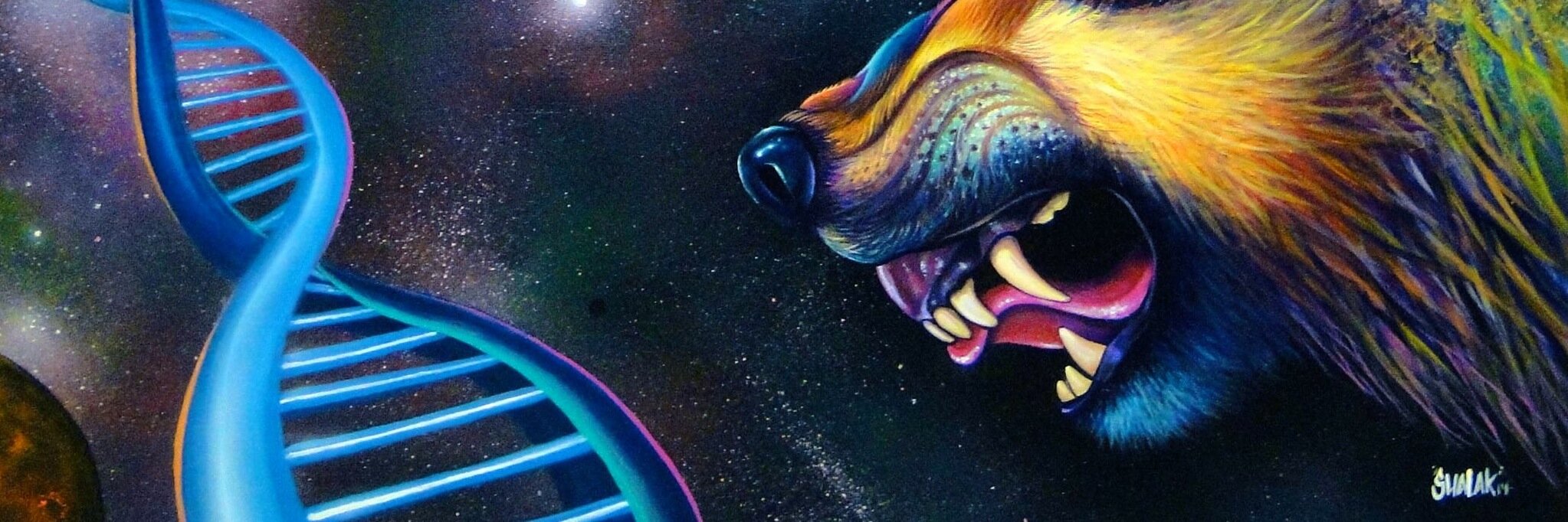 DevoThinkTank's profile banner image