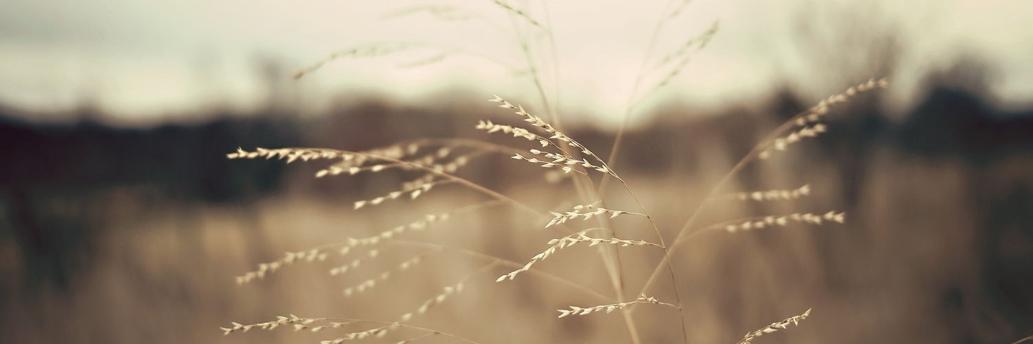 迷恋丶 banner
