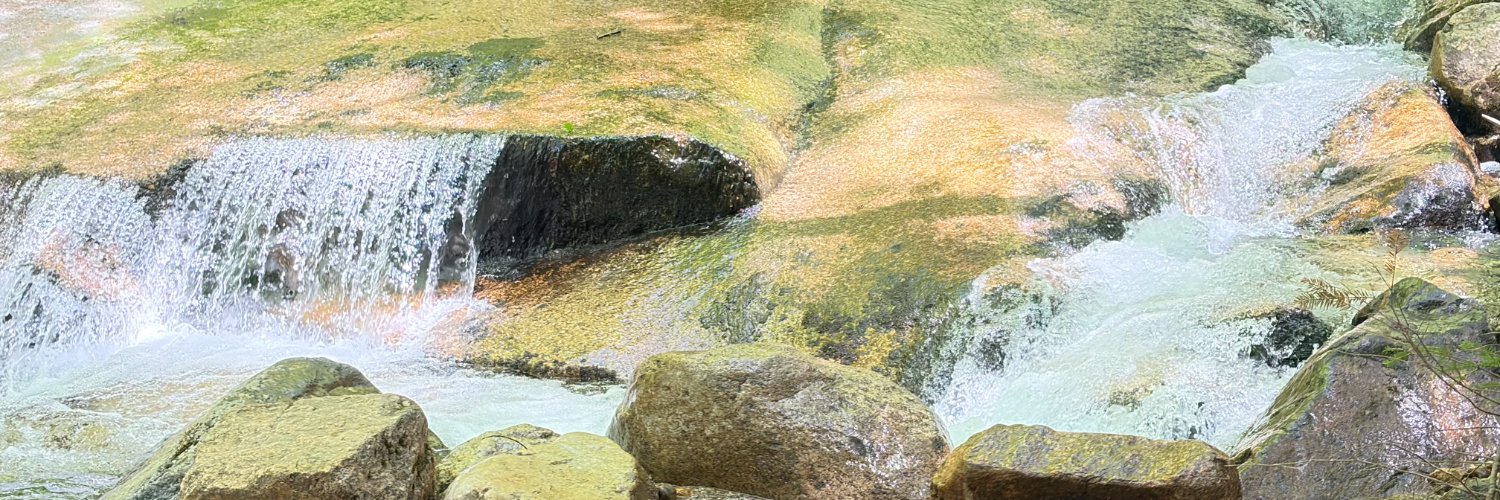 ekfulton's profile banner image