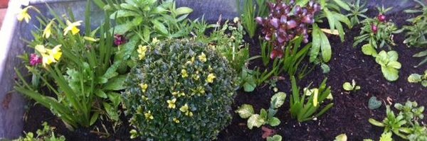 SMARTLondon Profile Banner