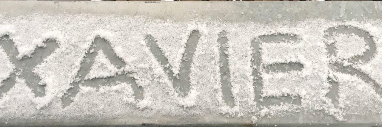 Shabby Chi Xav banner