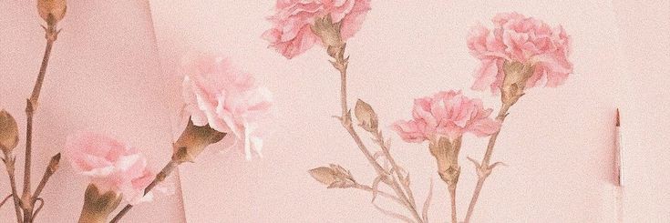 MiniCalabacita's profile banner image