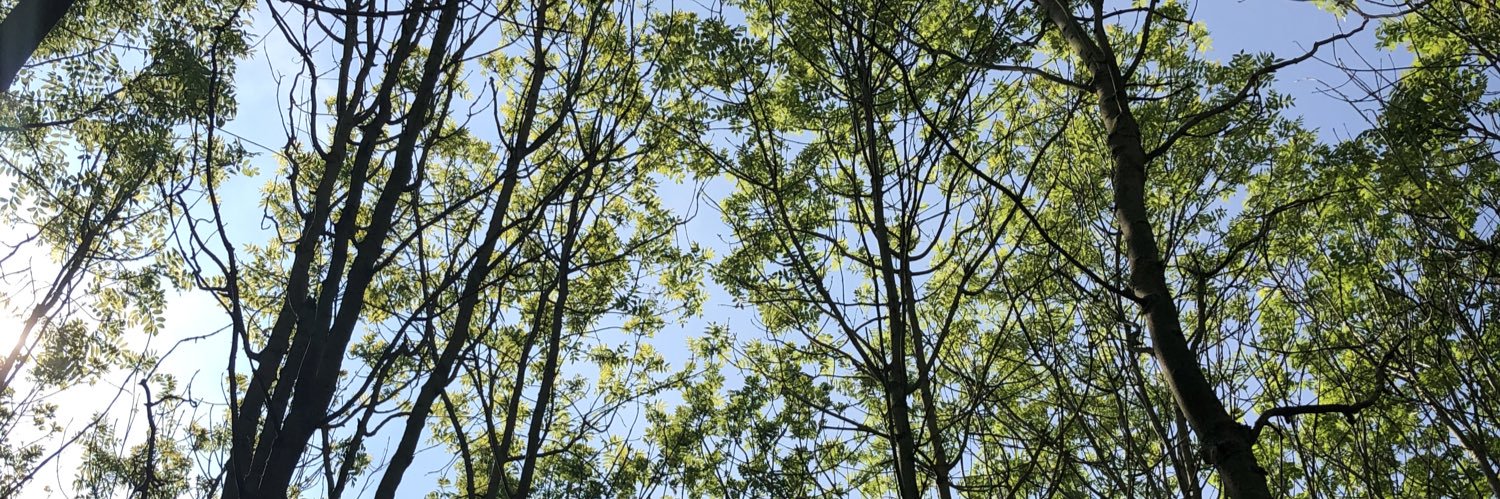 Emily Scott-Day (she/her) banner