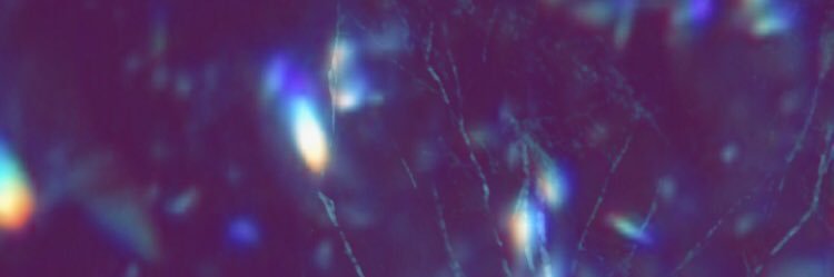 MaleBien ‎۞ banner