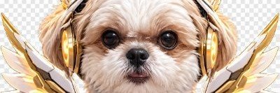 Snuffles_5's profile banner image