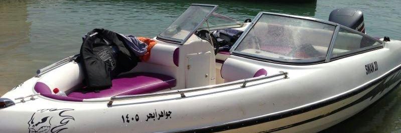 Rayan banner