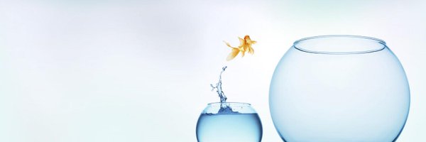 lisasbsd Profile Banner