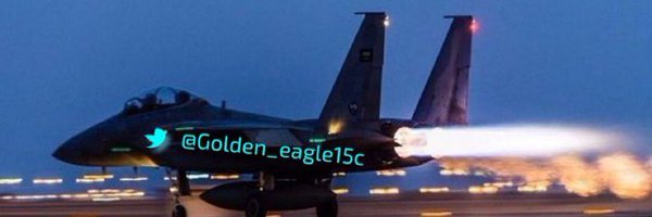 GoldenEaglef15c Profile Banner