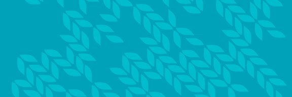 Rebecca Corliss banner