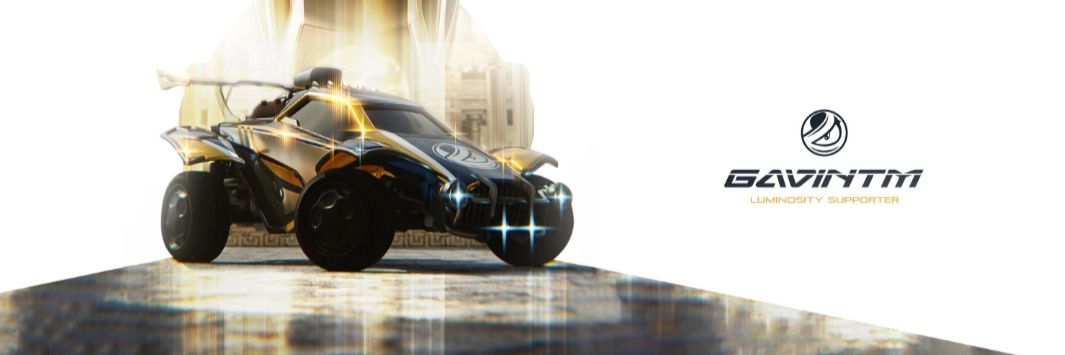 GavinTM banner
