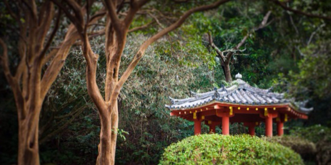 OahuMindSet's profile banner image