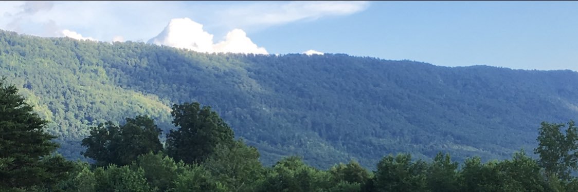MtnGirlbarefootGardening's banner
