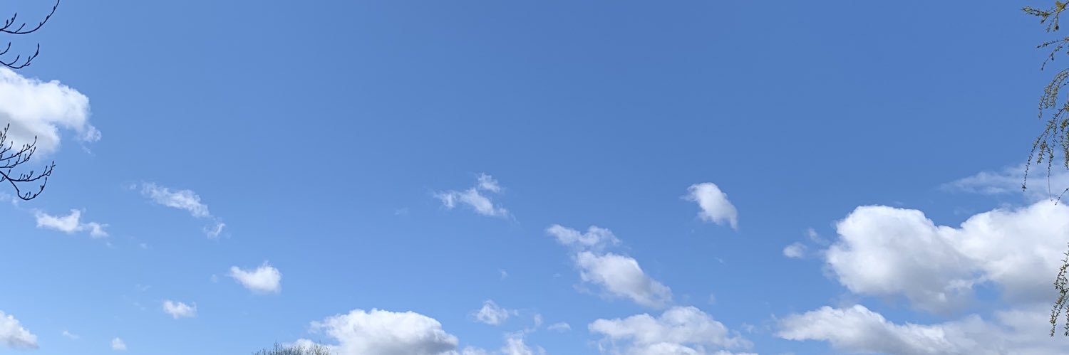 AlisonatTWH's profile banner image