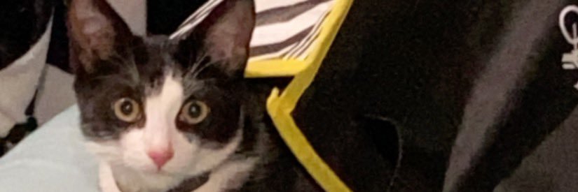 jsandoval02's profile banner image