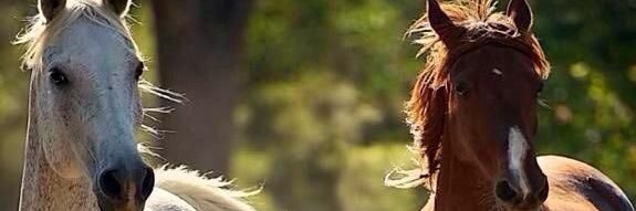 محمد 💡 banner