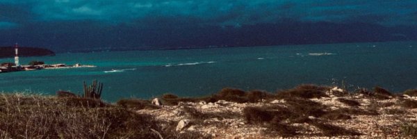 divitae777 Profile Banner