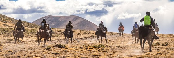 mongolderbylive Profile Banner