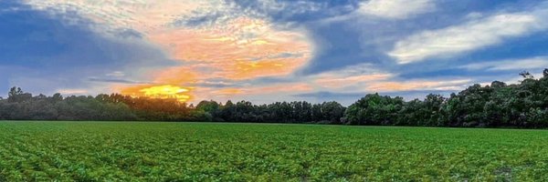 SpiveyTripp Profile Banner