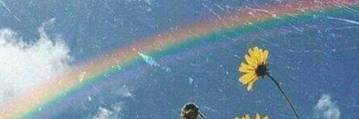 Angie 🖤 banner