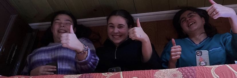 alylantier banner