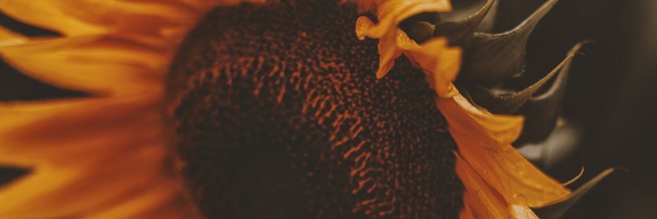 🌈Pontsho. banner