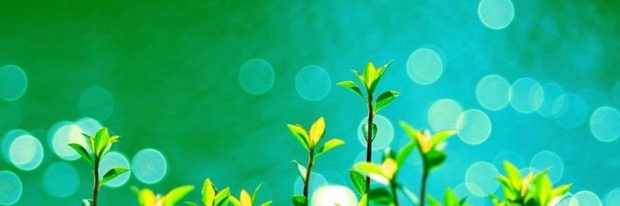 mee_chaan's profile banner image