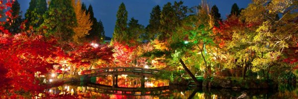 hikoryuji Profile Banner