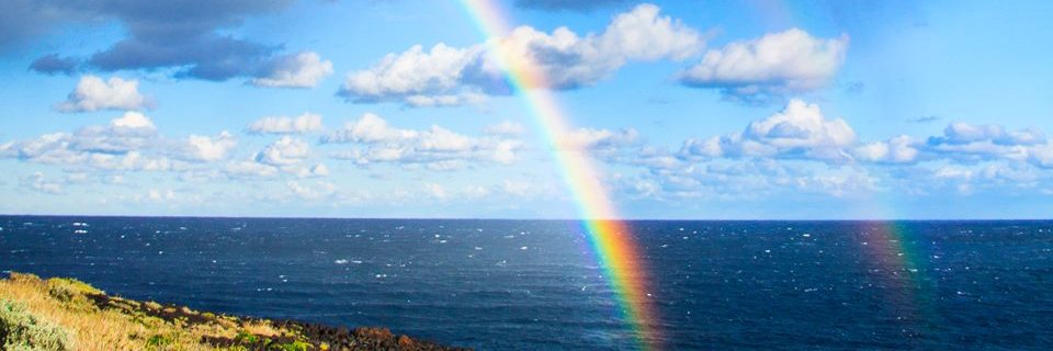 comolyn's profile banner image