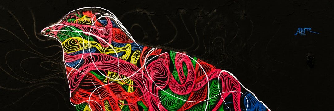 dr4ggy's profile banner image